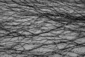 y{zA[g{[h/A[gpl artmart A[g}[g Gʐ^A~t[ŕ\CeAR[fBlCgBǎ z EH[XebJ[ Ǌ| tHgt[ł