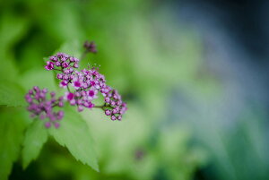 y{zA[g{[h/A[gpl artmart A[g}[g Gʐ^A~t[ŕ\CeAR[fBlCgBǎ z EH[XebJ[ Ǌ| tHgt[ł