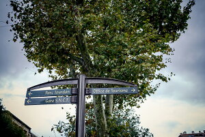 y{zA[g{[h/A[gpl artmart A[g}[g Gʐ^A~t[ŕ\CeAR[fBlCgBǎ z EH[XebJ[ Ǌ| tHgt[ł