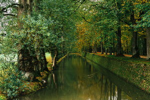 y֗pzA[g{[h/A[gpl artmart A[g}[g A[ĝ݃t[ʔ Gʐ^A~t[ŕ\Bǎ z EH[XebJ[ Ǌ| tHgt[ł̃C