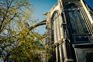 y֗pzA[g{[h/A[gpl artmart A[g}[g A[ĝ݃t[ʔ Gʐ^A~t[ŕ\Bǎ z EH[XebJ[ Ǌ| tHgt[ł̃C