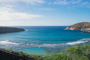 y֗pzA[g{[h/ A[gpl artmart A[g}[g A[ĝ݃t[ʔ Gʐ^A~t[ŕ\Bǎ z EH[XebJ[ Ǌ| tHgt[ł