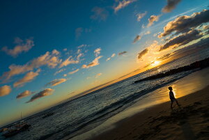 y֗pzA[g{[h/A[gpl artmart A[g}[g A[ĝ݃t[ʔ Gʐ^A~t[ŕ\Bǎ z EH[XebJ[ Ǌ| tHgt[ł̃C