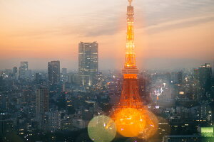 y֗pzA[g{[h/A[gpl artmart A[g}[g A[ĝ݃t[ʔ Gʐ^A~t[ŕ\Bǎ z EH[XebJ[ Ǌ| tHgt[ł̃C