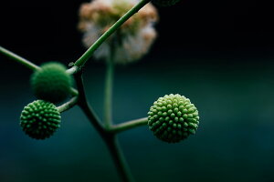 【張替用】アートボード/アートパネル artmart アートマート ※アートのみフレーム別売 絵や写真をアルミフレームで表現。壁紙 額縁 ウォールステッカー 壁掛け フォトフレームでお部屋のイ