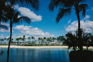 y{zA[g{[h/A[gpl artmart A[g}[g Gʐ^A~t[ŕ\CeAR[fBlCgBǎ z EH[XebJ[ Ǌ| tHgt[ł