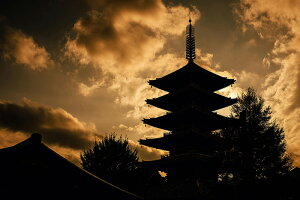 y{zA[g{[h/A[gpl artmart A[g}[g Gʐ^A~t[ŕ\CeAR[fBlCgBǎ z EH[XebJ[ Ǌ| tHgt[ł