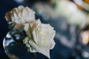 y{zA[g{[h/A[gpl artmart A[g}[g Gʐ^A~t[ŕ\CeAR[fBlCgBǎ z EH[XebJ[ Ǌ| tHgt[ł