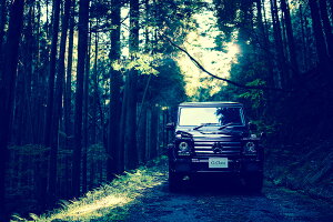 ZfXxc GNX Qf AMG G63 G550 G350d W463^ JX^y{zA[g{[h/A[gpl artmart A[g}[g ǎ z EH[XebJ[ tHgt[ŕ̃C[W