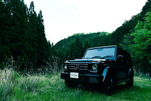 ZfXxc GNX Qf AMG G63 G550 G350d W463^ JX^y֗pzA[g{[h/A[gpl artmart A[g}[g t[ʔ ǎ z EH[XebJ[ŕC[W