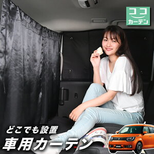  J[e COjX FF21S 悯  Ԏd؂ O UVJbg y ~jo ėp A ^] tg O TCh  ԗpi J[pi ԒObY ylR|XzyLot No.03z