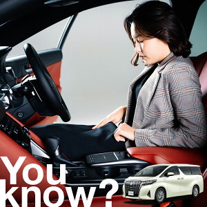 yԗpzAtgKX̓h~ Ft@CA 30n VELLFIRE tgJo[ h~ TVF[h ʎ SUV V[g ԗpJo[  悯    Ԓ J[VF