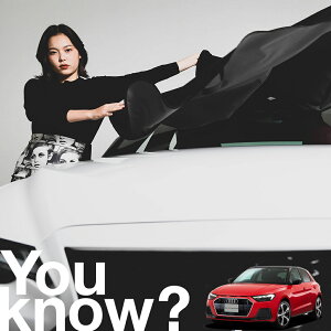 �y�����ԗp�z���A�t�����g�K���X�̓�����h�~ �A�E�f�B AUDI A1 S1 �t�����g�J�o�[ �����h�~ �T���V�F�[�h ���ʎ� SUV �V�[�g �ԗp�J�o�[ ������ ���悯 ����� �� �� �Ԓ��� �J�[�V�F�[�h �v��