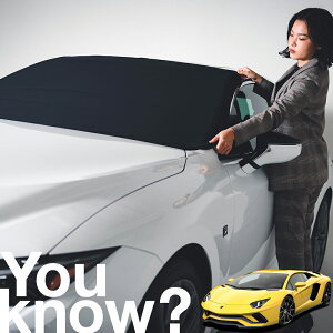 �y�����ԗp�z���A�t�����g�K���X�̓�����h�~ �����{���M�[�j �A���F���^�h�[�� �t�����g�J�o�[ �����h�~ �T���V�F�[�h ���ʎ� SUV �V�[�g �ԗp�J�o�[ ������ ���悯 ����� �� �� �Ԓ��� �J