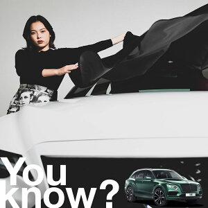 �y�����ԗp�z���A�t�����g�K���X�̓�����h�~ �x���g���[ �x���e�C�K �t�����g�J�o�[ �����h�~ �T���V�F�[�h ���ʎ� SUV �V�[�g �ԗp�J�o�[ ������ ���悯 ����� �� �� �Ԓ��� �J�[�V�F�[�h