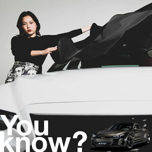 yԗpzAtgKX̓h~ AEfB e-tron GT quattro RS tgJo[ h~ TVF[h ʎ SUV V[g ԗpJo[  悯    Ԓ J[VF[