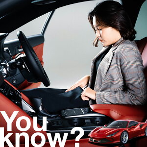 �y�����ԗp�z���A�t�����g�K���X�̓�����h�~ �t�F���[�� F8 �g���u�[�g�t�����g�J�o�[ �����h�~ �T���V�F�[�h ���ʎ� SUV �V�[�g �ԗp�J�o�[ ������ ���悯 ����� �� �� �Ԓ��� �J�[�V�F�[