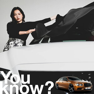 �y�����ԗp�z���A�t�����g�K���X�̓�����h�~ �x���g���[ �t���C���O�X�p�[ �t�����g�J�o�[ �����h�~ �T���V�F�[�h ���ʎ� SUV �V�[�g �ԗp�J�o�[ ������ ���悯 ����� �� �� �Ԓ��� �J�[�V