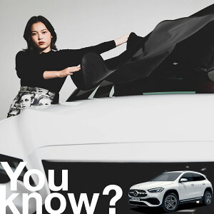 yԗpzAtgKX̓h~ V^ xc GLANX GLA AMG tgJo[ h~ TVF[h ʎ SUV V[g ԗpJo[  悯    Ԓ J[VF