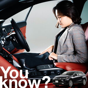 yԗpzAtgKX̓h~ V^ nA[ 80n HARRIER tgJo[ h~ TVF[h ʎ SUV V[g ԗpJo[  悯    Ԓ J[VF[