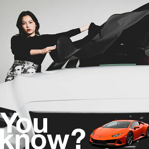 yԗpzAtgKX̓h~ {M[j EJ HURACAN tgJo[ h~ TVF[h ʎ SUV V[g ԗpJo[  悯    Ԓ J[