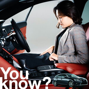 yԗpzAtgKX̓h~ NTX CT CT200h tgJo[ h~ TVF[h ʎ SUV V[g ԗpJo[  悯    Ԓ J[VF[h v