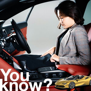 yԗpzAtgKX̓h~ tF[ SF90 XpC_[ tgJo[ h~ TVF[h ʎ SUV V[g ԗpJo[  悯    Ԓ J[VF