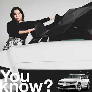 yԗpzAtgKX̓h~ eBOA AD1 TIGUAN tgJo[ h~ TVF[h ʎ SUV V[g ԗpJo[  悯    Ԓ J[VF[h v