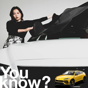 �y�����ԗp�z���A�t�����g�K���X�̓�����h�~ �����{���M�[�j �E���X URUS �t�����g�J�o�[ �����h�~ �T���V�F�[�h ���ʎ� SUV �V�[�g �ԗp�J�o�[ ������ ���悯 ����� �� �� �Ԓ��� �J�[�V�F