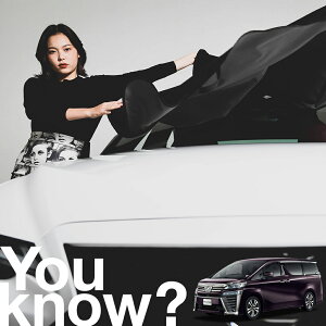 yԗpzAtgKX̓h~ Ft@CA 30n VELLFIRE tgJo[ h~ TVF[h ʎ SUV V[g ԗpJo[  悯    Ԓ J[VF