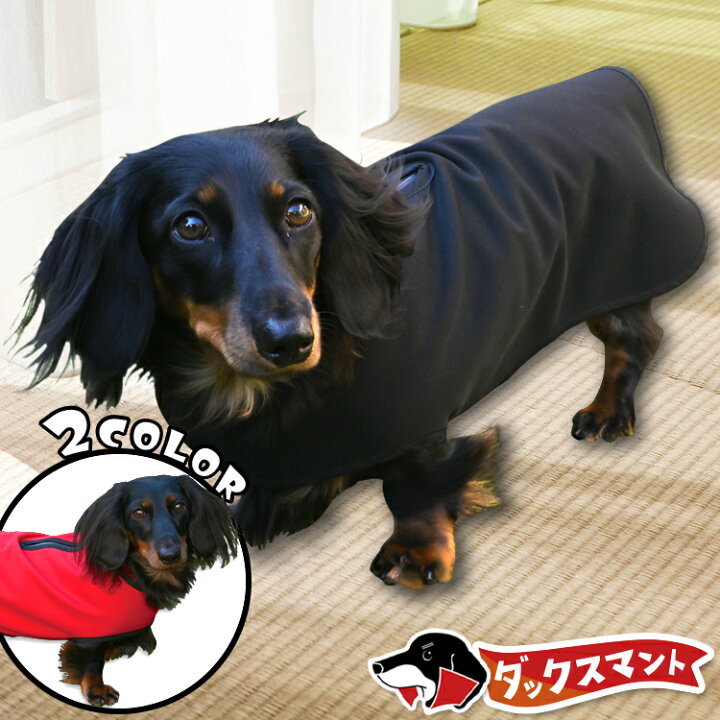 楽天市場】ダックスフンド ダックス 服 犬服 レインコート ドッグ 