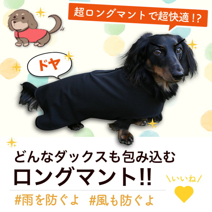 楽天市場】ダックスフンド ダックス 服 犬服 レインコート ドッグ 