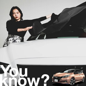 yԗpzAtgKX̓h~ [t ZE1^ LEAF NISMO jX tgJo[ h~ TVF[h ʎ SUV V[g ԗpJo[  悯    Ԓ J[VF