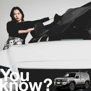 yԗpzAtgKX̓h~ hN[U[ 250 n tgJo[ h~ TVF[h ʎ SUV V[g ԗpJo[  悯    Ԓ J[VF[