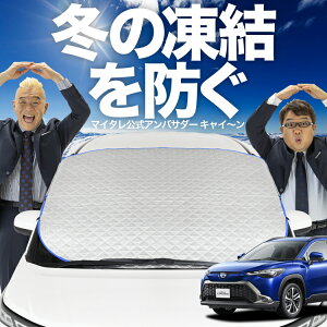 yh~͂ꂪԁz tgJo[ J[NX ZVG11/16 ZSG10 MXGA10 ^ tgKX h~ Jo[ h~ V[g tg TVF[h  悯 悯    