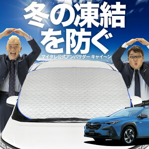 yh~͂ꂪԁz tgJo[ NXgbN GUn GUD/GUE^ Touring Limited tgKX h~ Jo[ h~ V[g tg TVF[h  悯 悯  