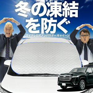 yh~͂ꂪԁz tgJo[ V^ hN[U[ 300n tgKX h~ Jo[ h~ V[g tg TVF[h  悯 悯     O