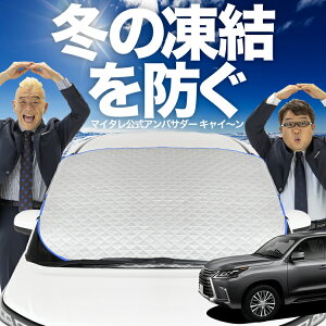 yh~͂ꂪԁz tgJo[ NTX LX570 LX URJ201W tgKX h~ Jo[ h~ V[g tg TVF[h  悯 悯     O uv 