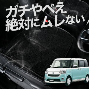 y2Zbgz  V[gNbV [ LoX LA800/810n J[NbV ^]   zc ԗp V[g NbV J[V[g J[}bg  {  U