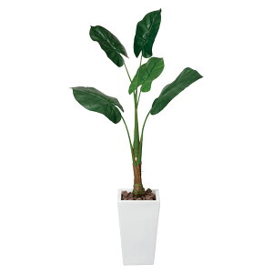 G} ϗtA lHA tFCNO[ A[gO[  O[ lHϗtA L X R CeA fBXvC  zAfqh ItBX  킸 i`