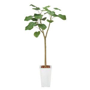 光触媒 観葉植物 人工植物 フェイクグリーン アートグリーン 造花 グリーン 人工観葉植物 ホルムアルデヒド 店舗 除去 ダイニング ディスプレイ 玄関 分解 オフィス 消臭 リビング インテリ