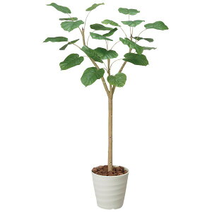 光触媒 観葉植物 人工植物 フェイクグリーン アートグリーン 造花 グリーン 人工観葉植物 ホルムアルデヒド 店舗 除去 ダイニング ディスプレイ 玄関 分解 オフィス 消臭 リビング インテリ