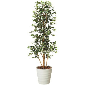 光触媒 観葉植物 人工植物 フェイクグリーン アートグリーン 造花 グリーン 人工観葉植物 ホルムアルデヒド 店舗 除去 ダイニング ディスプレイ 玄関 分解 オフィス 消臭 リビング インテリ