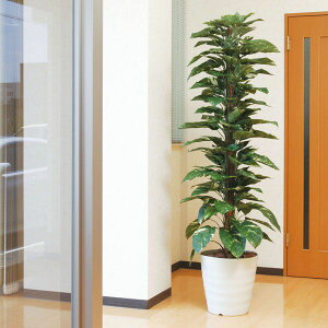 光触媒 観葉植物 人工植物 フェイクグリーン アートグリーン 造花 グリーン 人工観葉植物 ホルムアルデヒド 店舗 除去 ダイニング ディスプレイ 玄関 分解 オフィス 消臭 リビング インテリ