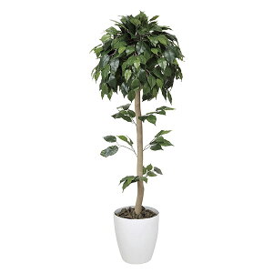 G} ϗtA lHA tFCNO[ A[gO[  O[ lHϗtA zAfqh rO   X CeA R fBXvC  _CjO I