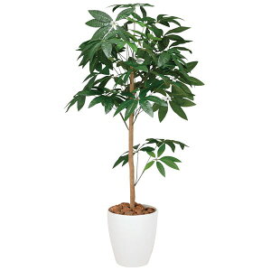 G} ϗtA lHA tFCNO[ A[gO[  O[ lHϗtA zAfqh rO   X CeA R fBXvC  _CjO I