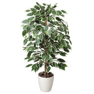 光触媒 観葉植物 人工植物 フェイクグリーン アートグリーン 造花 グリーン 人工観葉植物 ホルムアルデヒド 店舗 除去 ダイニング ディスプレイ 玄関 分解 オフィス 消臭 リビング インテリ