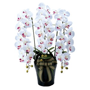 G} Ӓ lHϗtA tFCNO[  v[g CeA AWgt[ t[ ItBX _CjO j I  CeAt[   ϗtA  