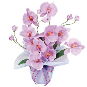 G} zbgt@m  ϗtA ~j CeA A[gt[ tFCNt[ ̊y ̓Mtg lHA t[Mtg j zAfqh L C h  