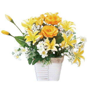 tFCNO[ G}  ϗtA ~j CeA A[gt[ tFCNt[ ̊y j lHA  C zAfqh L  h ̓Mtg  R